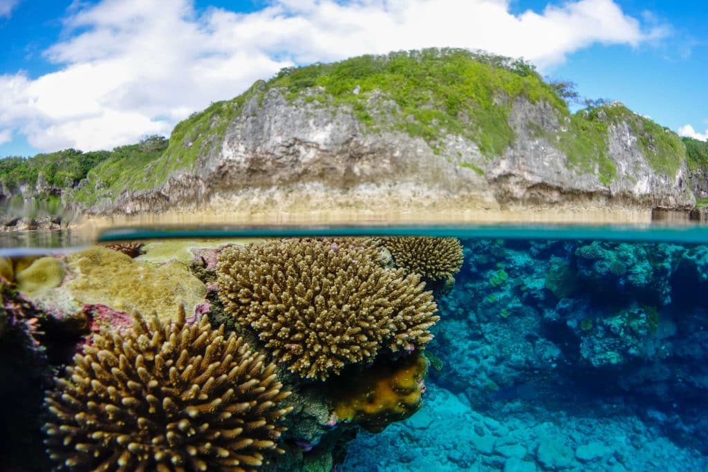 Exploring The World's Most Remote Islands