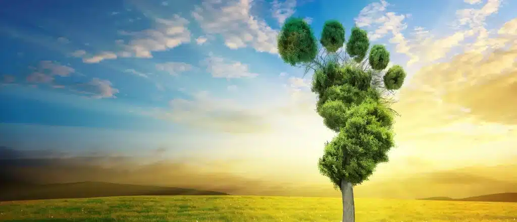 How to Tour the World Without Harming It!