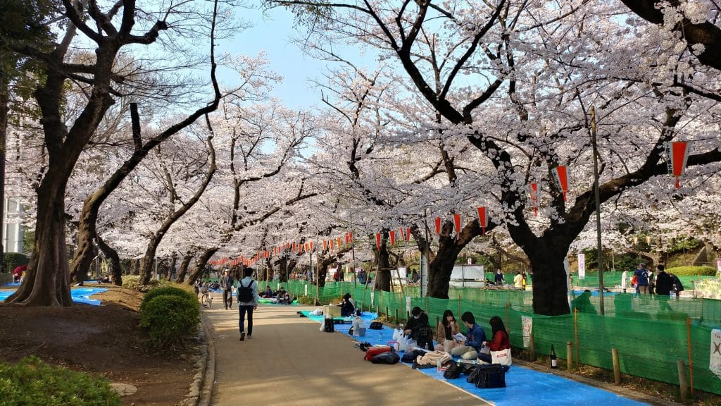 Why Is Tokyo The Top Travel Destination This Year?